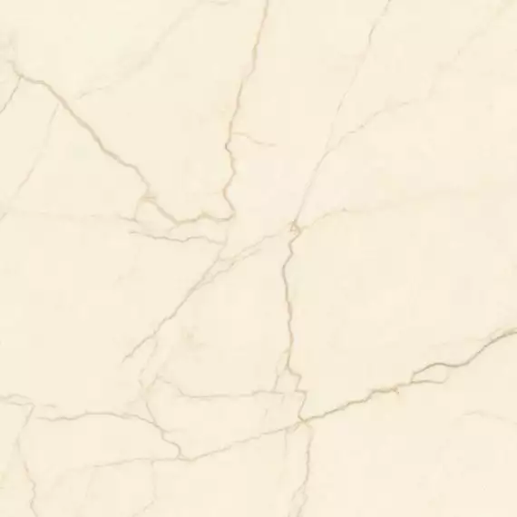 P1208652 Керамогранит Crema Avorio Naturale 8mm 120x120