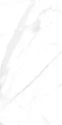 P15006 Royal Marble White Polished Rect 60x120