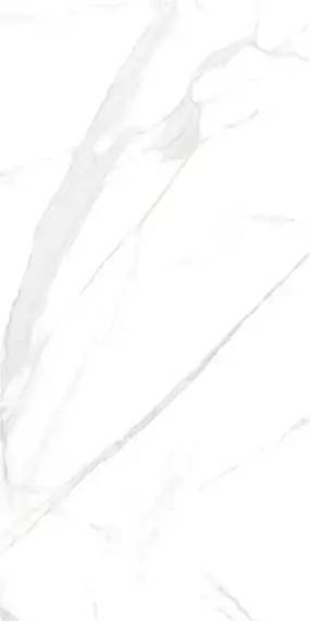 P15006 Royal Marble White Polished Rect 60x120