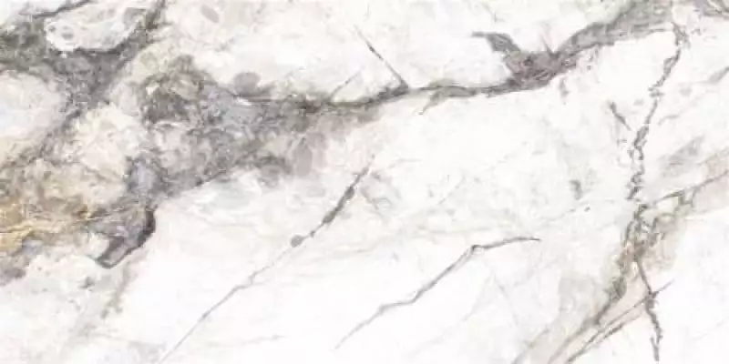 P15202 Invisible Marble Grey Polished 60x120