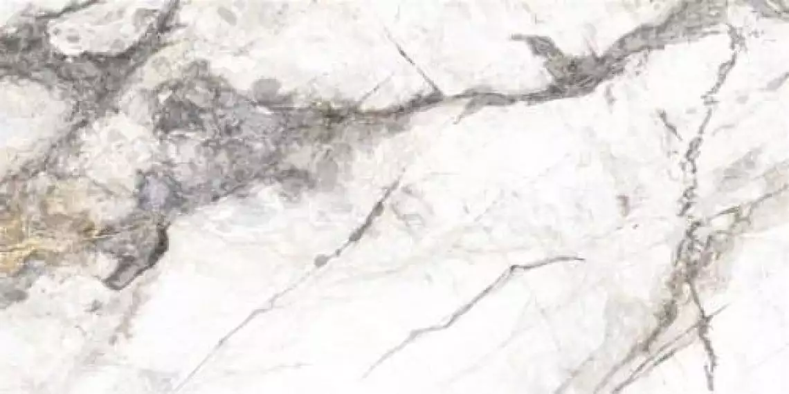P15202 Invisible Marble Grey Polished 60x120