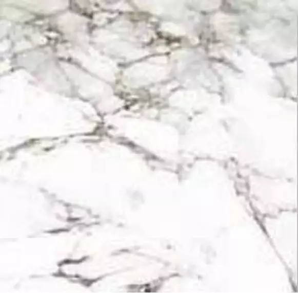 P1856802 Calacata Silver 59.6x59.6