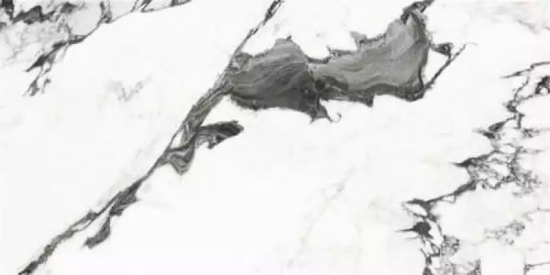 P19707 Panda Marble White Polished 60x120