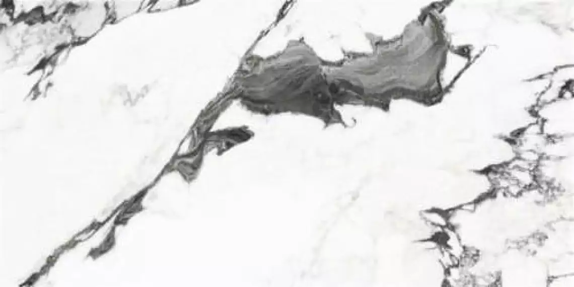 P19707 Panda Marble White Polished 60x120