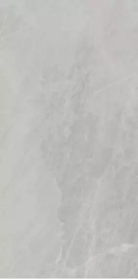 P612498 Gris De Savoie Soft 60x120