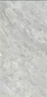 P612670 Bardiglio Chiaro Soft 60x120