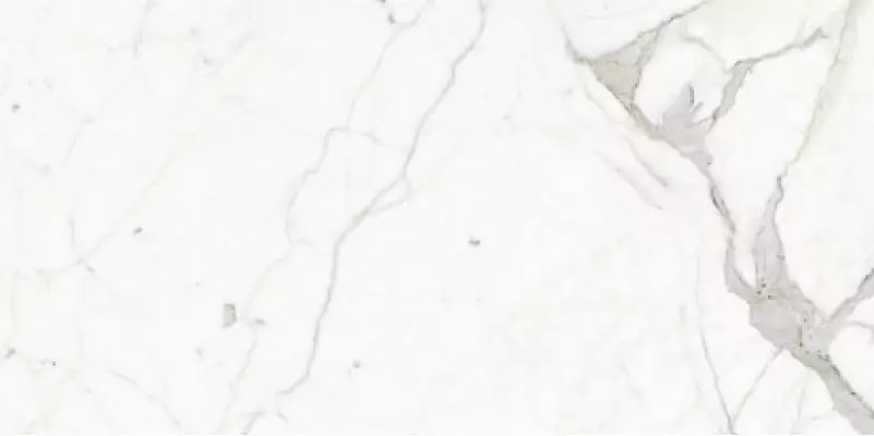P62265 Calacatta Nat 60x120