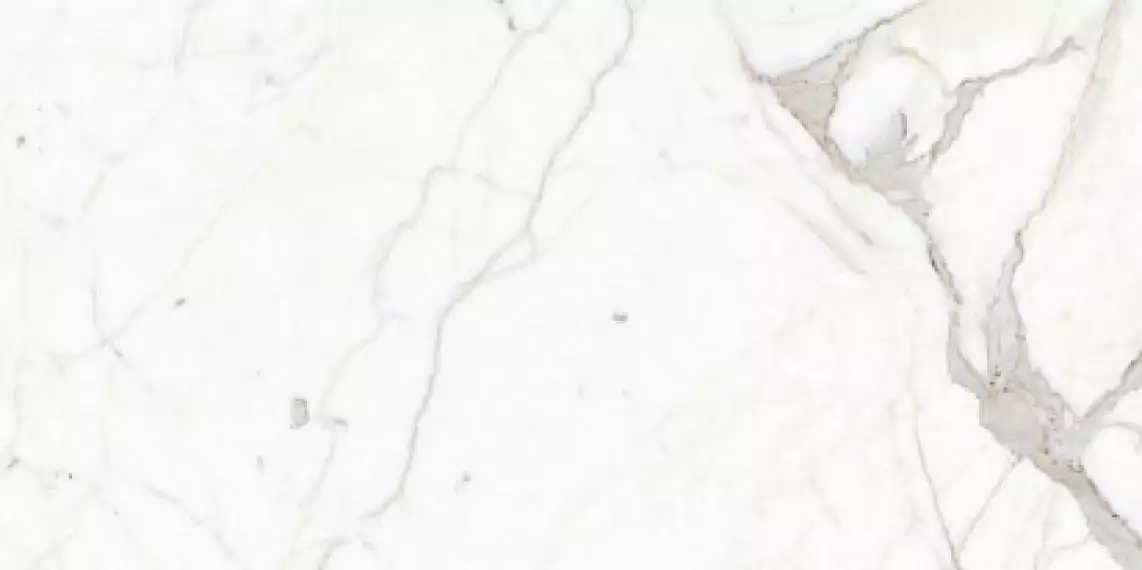 P62265 SQ.CALACATTA N. 60X120