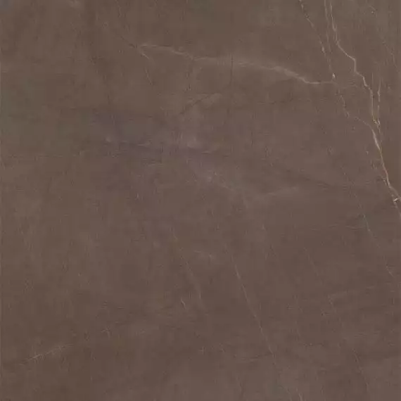 P66336 SQ.GAUDI STONE N. 60X60