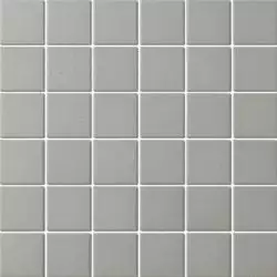PA-548 керамика матовая антислип (48x48) 306x306