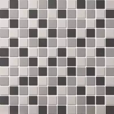 PA-555 керамика матовая антислип (23x23) 300x300