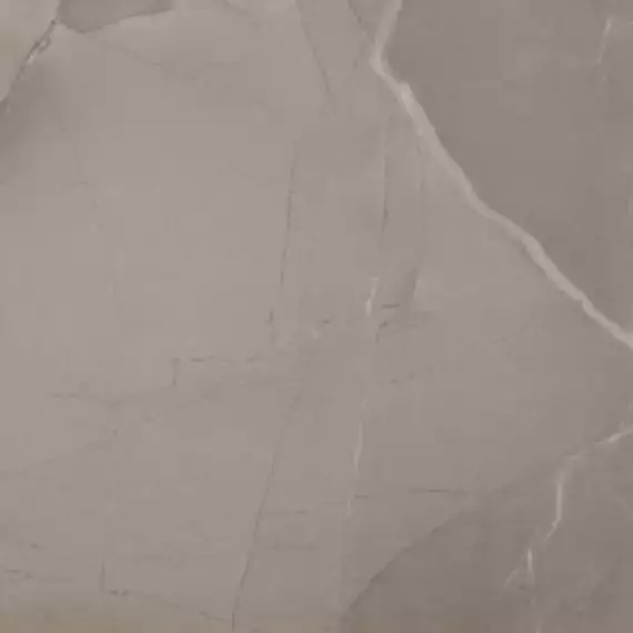 PASSION LUX 60 TAUPE 60*60