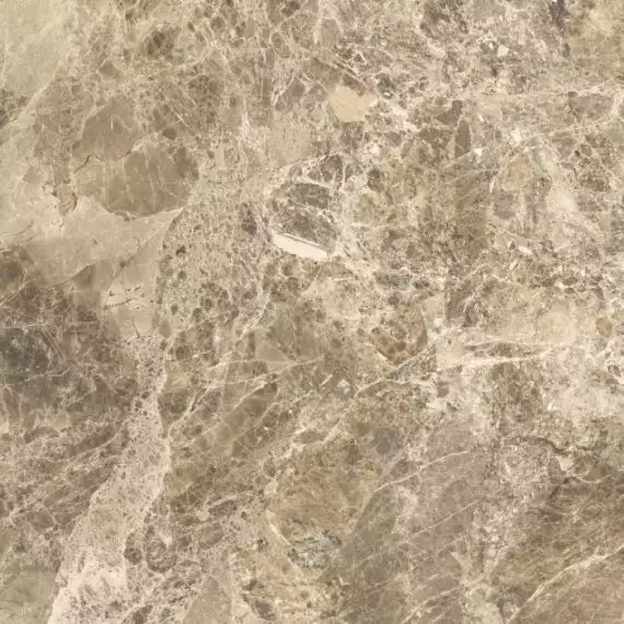 PD60 Purity Paradiso RT 60x60