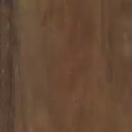 PF60000308 Interno 9 Rust Ret 80x80