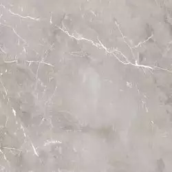 PF60004313 Epoque Grey Lap 60X60