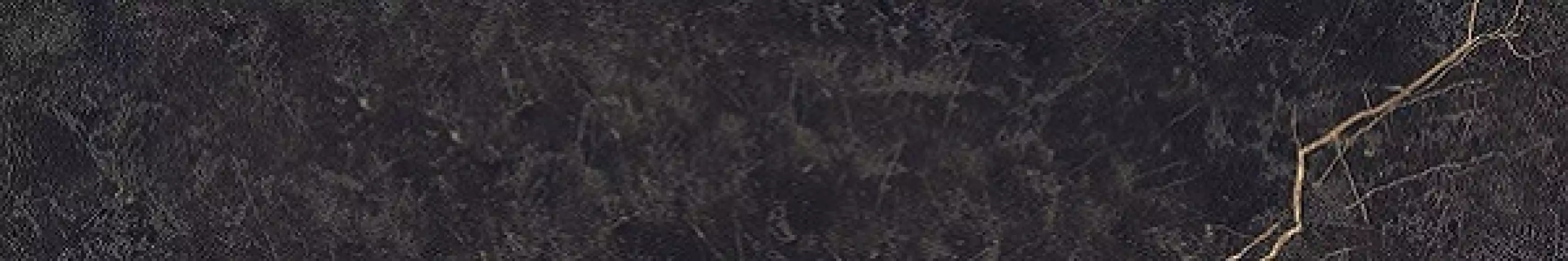 PF60004401 Epoque Black Ret 10X60