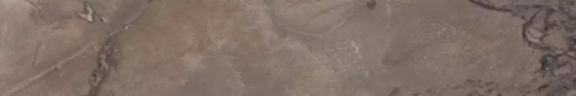 PF60004412 Epoque Brown Ret 10X60