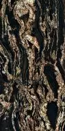 PF60005363 NOBILE BLACK TAURUS LUX+ 60X120