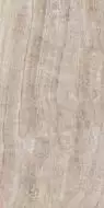 PF60005656 SENSI GEMS TAJ MAHAL RET 60x120