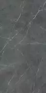 PF60006322 Керамогранит Stone Grey Nat Ret 60x120