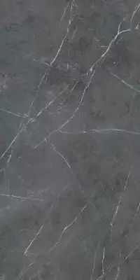 PF60006322 Керамогранит Stone Grey Nat Ret 60x120