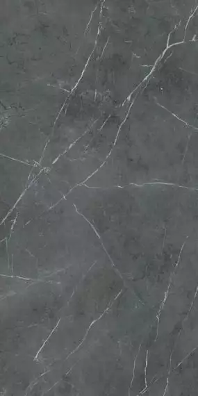 PF60006322 Керамогранит Stone Grey Nat Ret 60x120