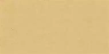 PF60008231 Ginger Ret 60x120