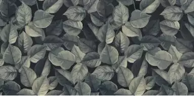 PF60008438 Foliage Ret 60x120