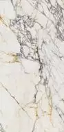 PF60009341 Arabescato Lapp. 3d Ret 60x120