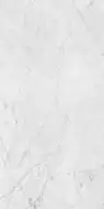 PF60012503 Керамогранит Carrara Lux Ret 60x120