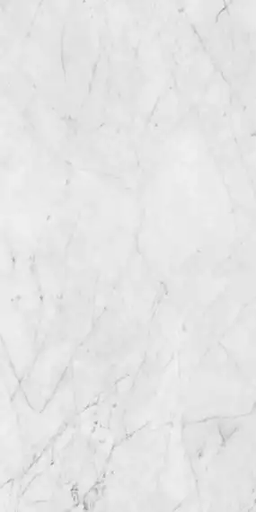 PF60012503 Керамогранит Carrara Lux Ret 60x120