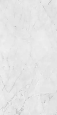 PF60012758 Керамогранит Carrara Nat Ret 60x120
