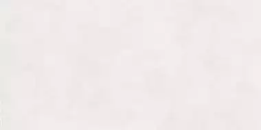PF60016428 Керамогранит Alterego Milk Nat Rett 60x120