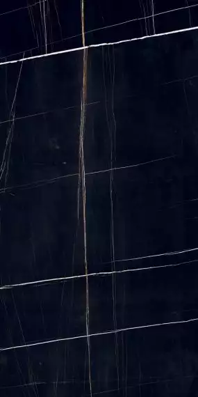 PGT120609705SGR Керамогранит Dorato Черный 60x120