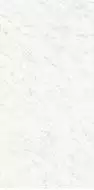 PK612555 Bianco Carrara Levigato Silk ret 60x120