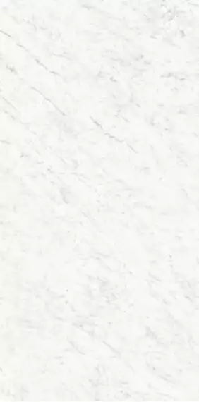 PK612555 Bianco Carrara Levigato Silk ret 60x120