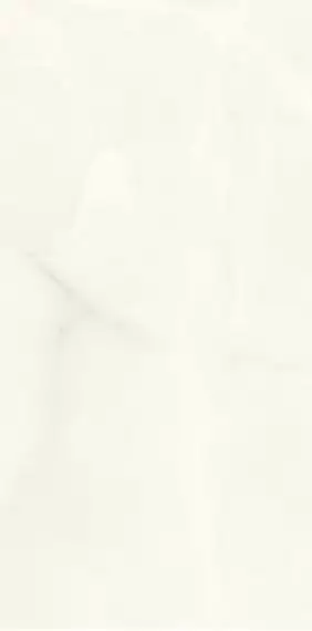PL612400 Onice Bianco Extra Lucidato ret 60x120