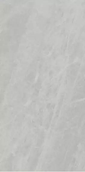 PL612498 Gris De Savoie Lucidato 60x120
