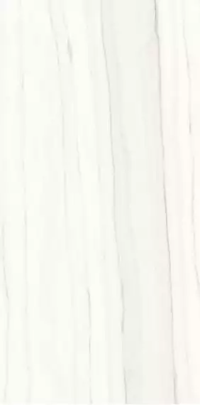 PL612517 Zebrino Bianco Luc 120x60