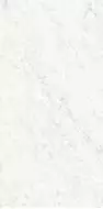 PL612555 Bianco Carrara Lucidato ret 60x120