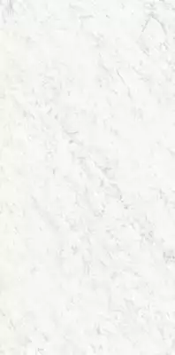 PL612555 Bianco Carrara Lucidato ret 60x120