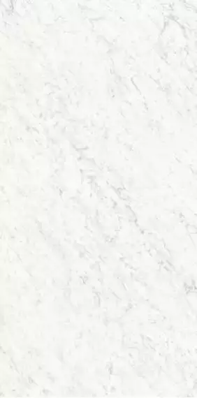 PL612555 Bianco Carrara Lucidato ret 60x120