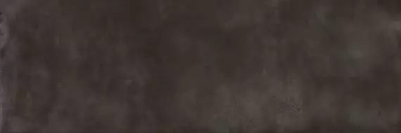 PLASTER DAR.UR.EBN.SF 300x100