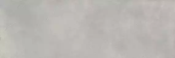 PLASTER DAR.UR.SIL.SF 300x100