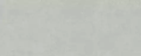 PLASTER DL.GMN.CL.NT RU 300x120