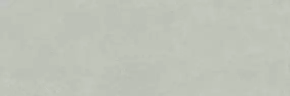 PLASTER DL.GMN.CL.NT 300x100