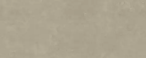 PLASTER DL.GMN.GR.NT RU 300x120