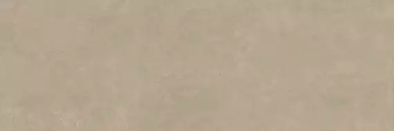 PLASTER DL.GMN.GR.NT 300x100