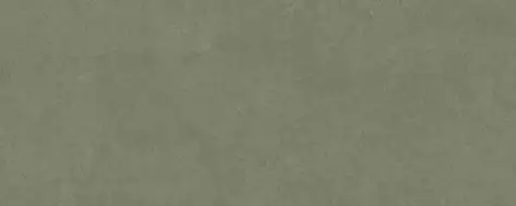 PLASTER DL.GMN.MS.NT RU 300x120