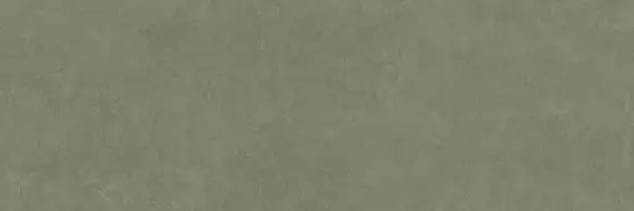 PLASTER DL.GMN.MS.NT 300x100